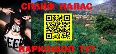 спиды Моздок