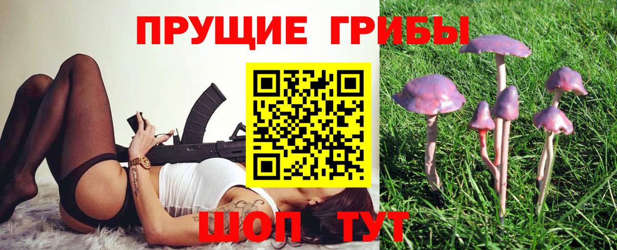 Псилоцибиновые грибы Cubensis Сызрань
